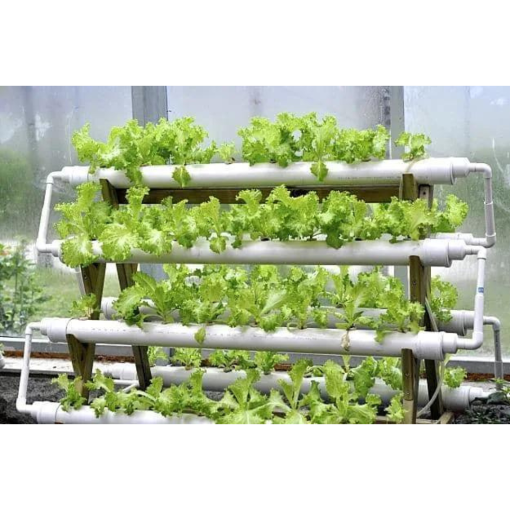 Front view of A-shaped 108 planter holes hydroponics system inside a greenhouse garden.