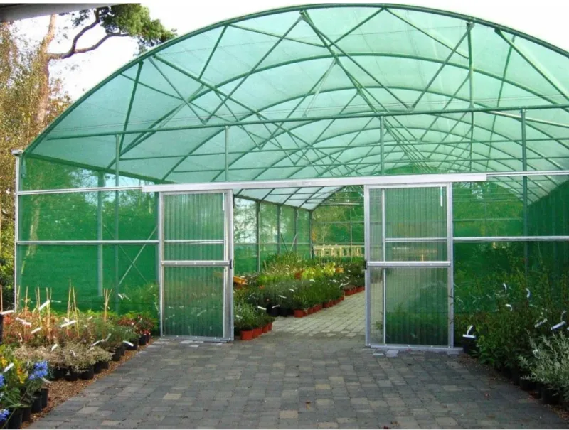 A spacious greenhouse with open doors and green shade net covering for climate control.