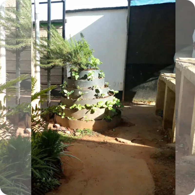 A single hydroponic staircase garden installed in a client’s backyard.
