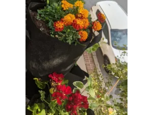 Planting bags hanging from a balcony with flowers, a white car visible beneath.