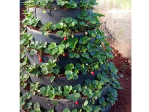 A fully planted Multi-Storey Garden installation growing strawberries in Thika Road.