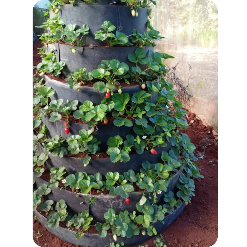 A fully planted Multi-Storey Garden installation growing strawberries in Thika Road.