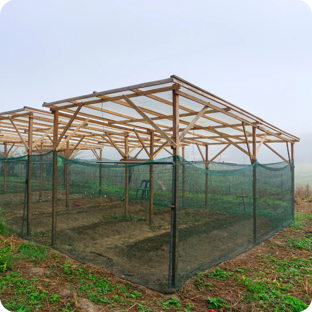 A hydroponics setup using transparent metal sheets for protection.