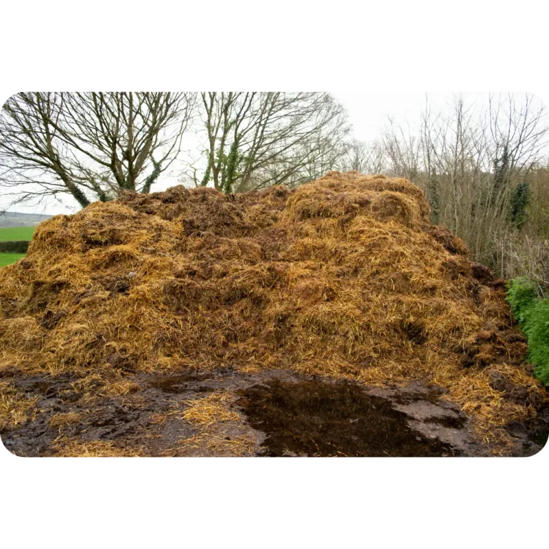 A large heap of organic manure showcasing Alpha Hydroponics Kenya's products.
