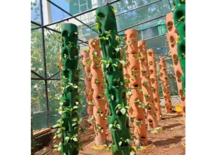 A tower hydroponic system inside a shade net enclosure.