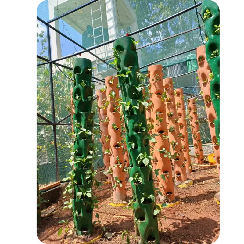 A tower hydroponic system inside a shade net enclosure.