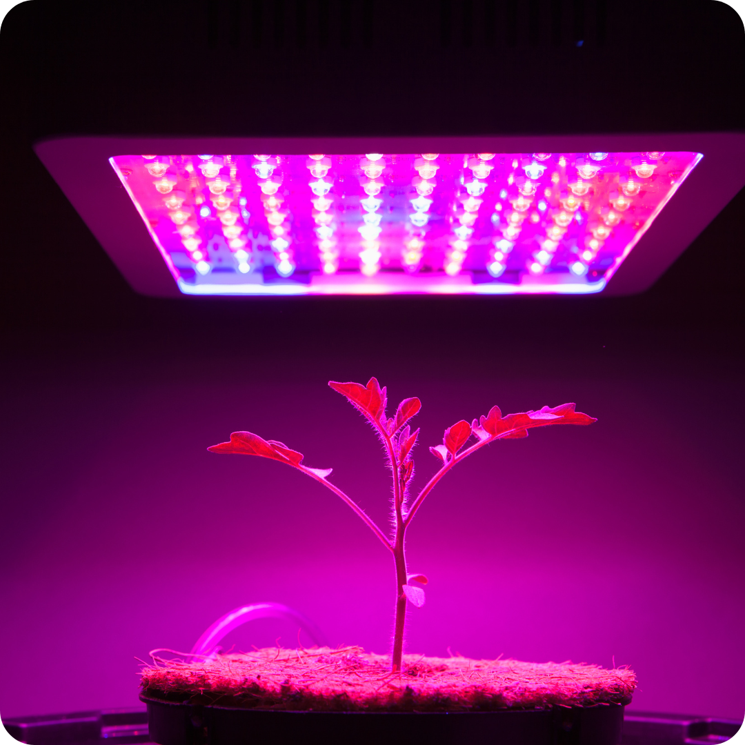 Grow Lights