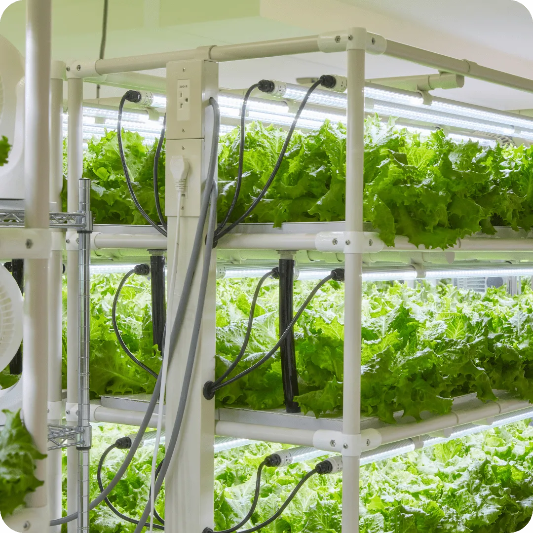 Hydroponics Systems in Kenya 1 Expand Pro-Hydroponics system, professionally installed by Alpha Hydroponics Kenya.