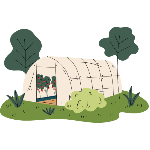 10. Greenhouse Installation Services In Kenya 6 24 1