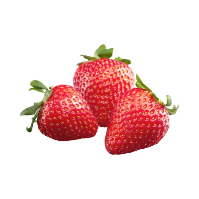 Drip Irrigation Systems in Kenya 22 Fresh strawberries grown using hydroponic systems in Kenya.