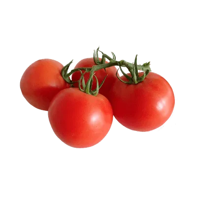 Drip Irrigation Systems in Kenya 26 Vine-ripened hydroponic tomatoes, grown using drip irrigation.