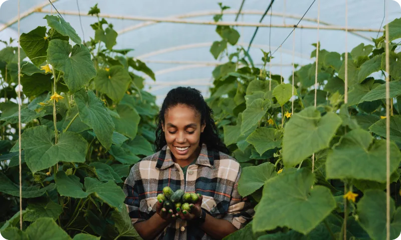 Farm Houses: Shade-net & Greenhouse Farming in Kenya 6 An African woman smiling while holding a fresh cucumber inside a greenhouse.